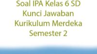 20 Soal Ujian BAB 5 IPAS Kelas 6 SD Semester 2 Kurikulum Merdeka dengan Jawaban