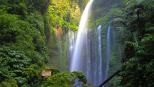 Tiu Kelep: Menjelajahi Keajaiban Tersembunyi Di Jantung Lombok Utara