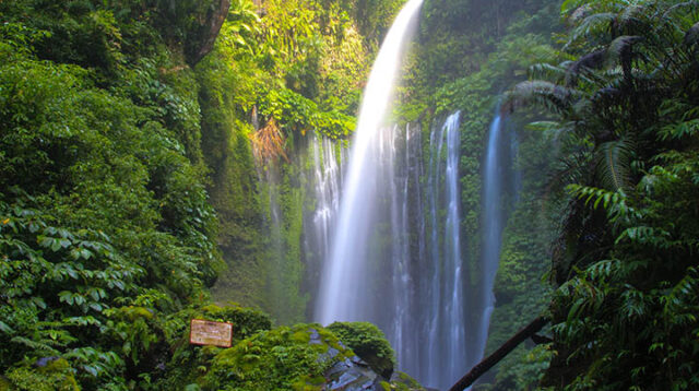 Tiu Kelep: Menjelajahi Keajaiban Tersembunyi Di Jantung Lombok Utara