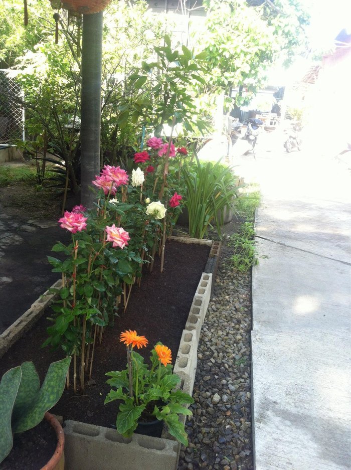 Jalan Angke-Kampung Bandan Terendam Banjir, Tidak Bisa Dilewati KRL
