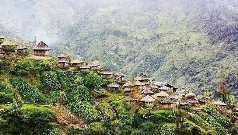 Lembah Baliem: Permata Tersembunyi Di Jantung Papua Pegunungan