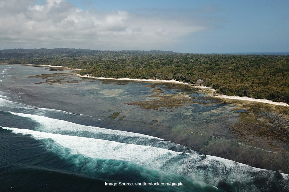 Surga Tersembunyi Para Peselancar Dunia: Menjelajahi Keindahan Dan Tantangan Pantai G-Land (Plengkung), Jawa Timur