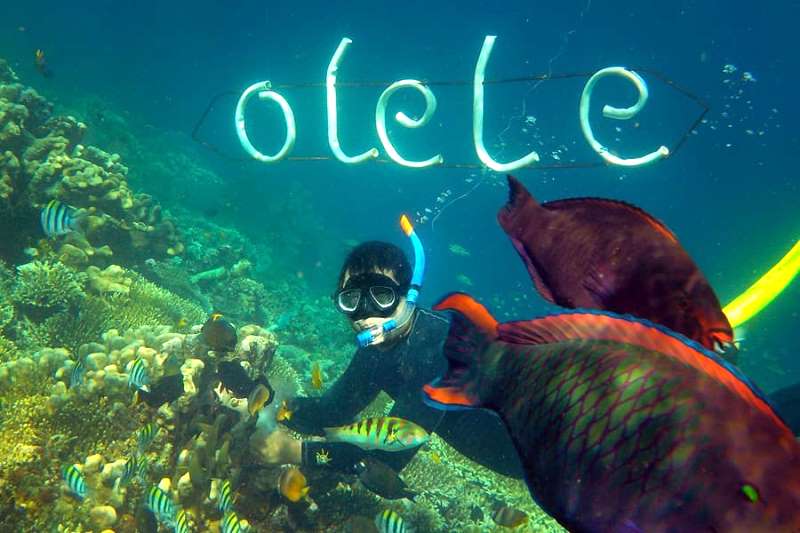 Taman Laut Olele: Surga Bawah Laut Tersembunyi Di Jantung Gorontalo