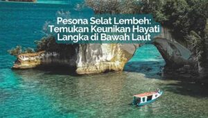 Selat Lembeh: Surga Tersembunyi Para Pemburu Makhluk Aneh di Bawah Laut