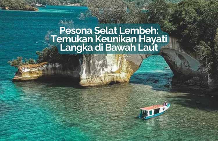 Selat Lembeh: Surga Tersembunyi Para Pemburu Makhluk Aneh di Bawah Laut