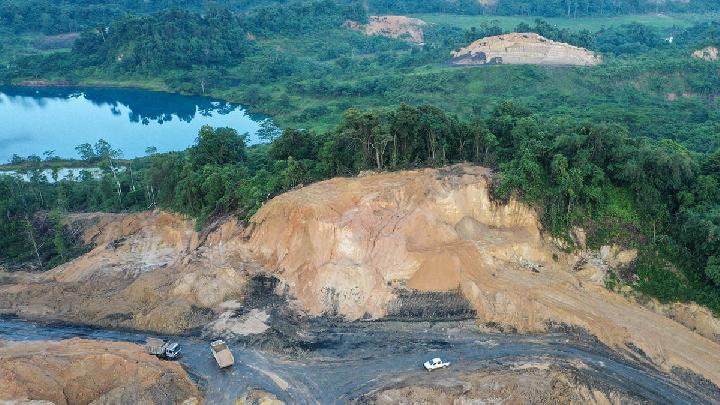 Cara Deforestasi Memicu Penyebaran Penyakit