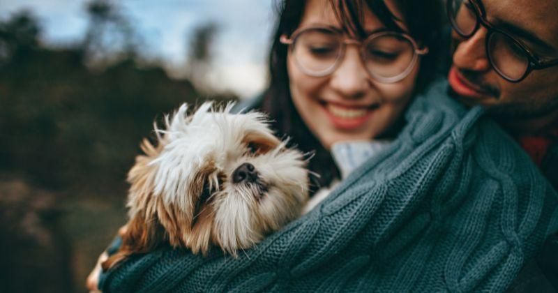 Kesesuaian Zodiak Taurus dan Scorpio dalam Cinta