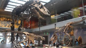 Mengapa T-Rex Bisa Jadi Raksasa? Ini Penjelasannya!