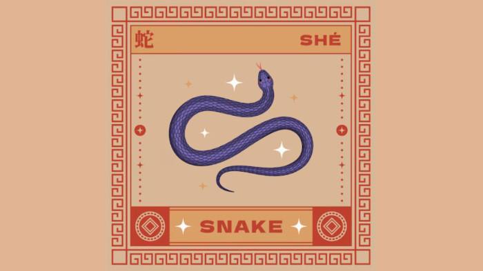 Ramalan Shio Ular Tahun 2026: Karier Meningkat, Cinta Baru Hadir