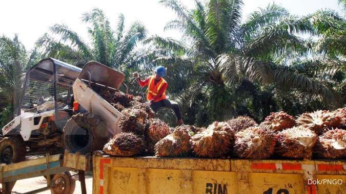 Pemilik baru PNGO diambil alih perusahaan Hong Kong