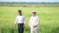 Tiga Sektor Pendorong Utama Pertumbuhan Ekonomi Kuartal I 2026, Pertanian Kontribusikan 12,67 Persen Tiga Sektor Pendorong Utama Pertumbuhan Ekonomi Kuartal I 2026, Pertanian Kontribusikan 12,67 Persen