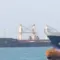 Trump umumkan hentikan operasi Selat Hormuz untuk uji kesepakatan strategis dengan Iran